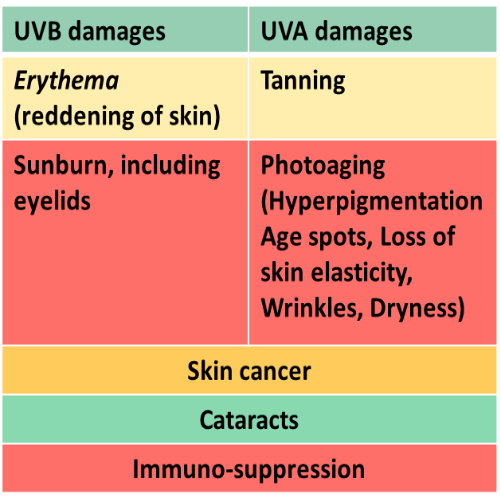 Table showing summary of UVB and UVA damages