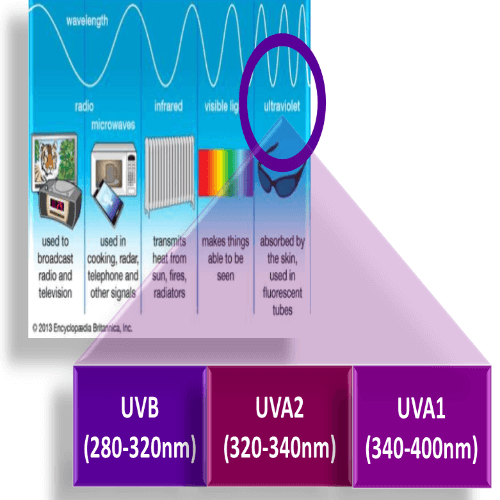 Image showing wavelengths of UVB UVA 