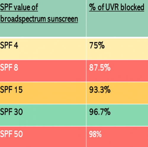 Image showing % of UVR blocked by SPF value.  SPF 4 blocks 75% and SPF 50 blocks 98%