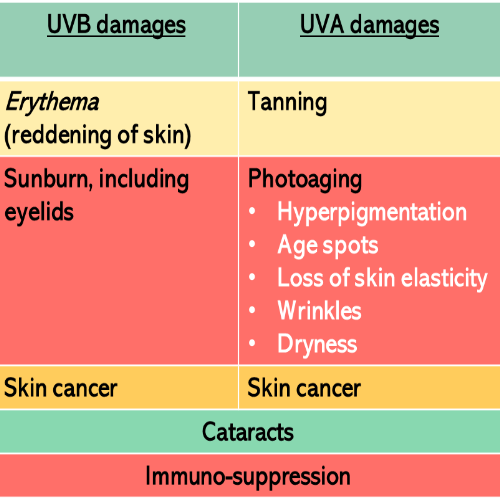 UVA filters protect mainly against photoaging (hyper-pigmentation, age spots, loss of skin elasticity, wrinkles and dryness). UVB filters protect mainly against reddening of the skin (erythema), sunburn and skin cancer.