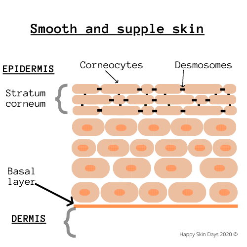 soft and supple skin - how does it look