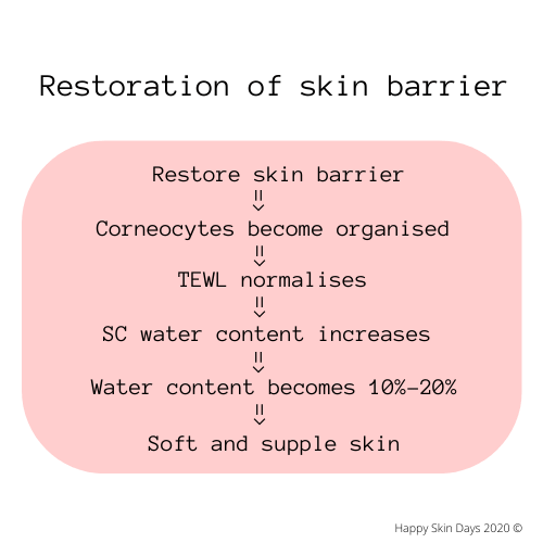 restoration of skin barrier