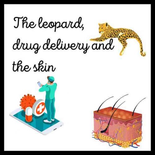 drug delivery to the skin